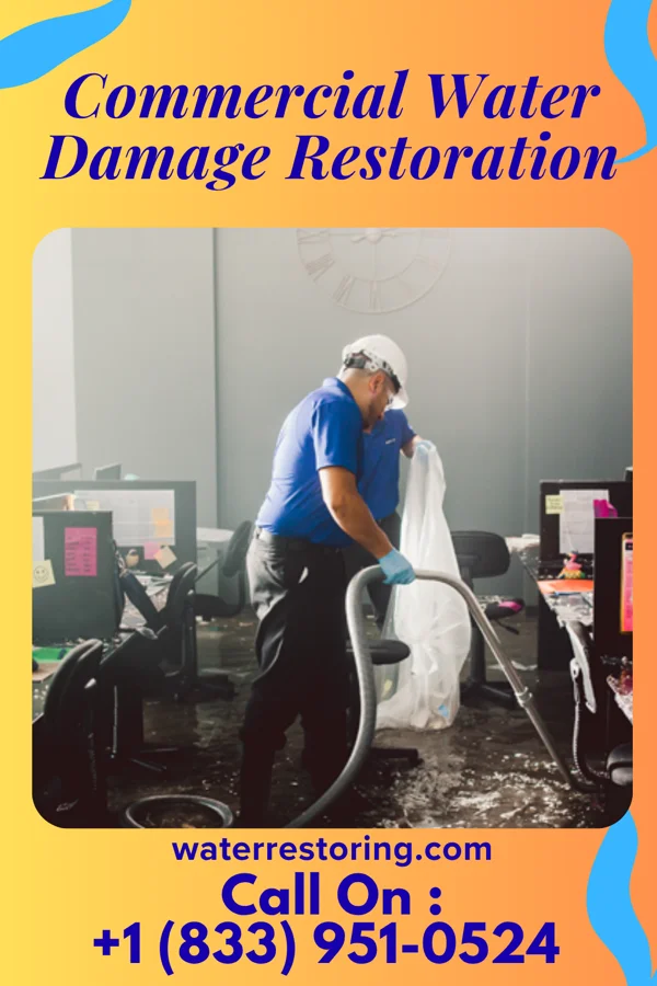 Commercial Water Damage Restoration in Newport, WA