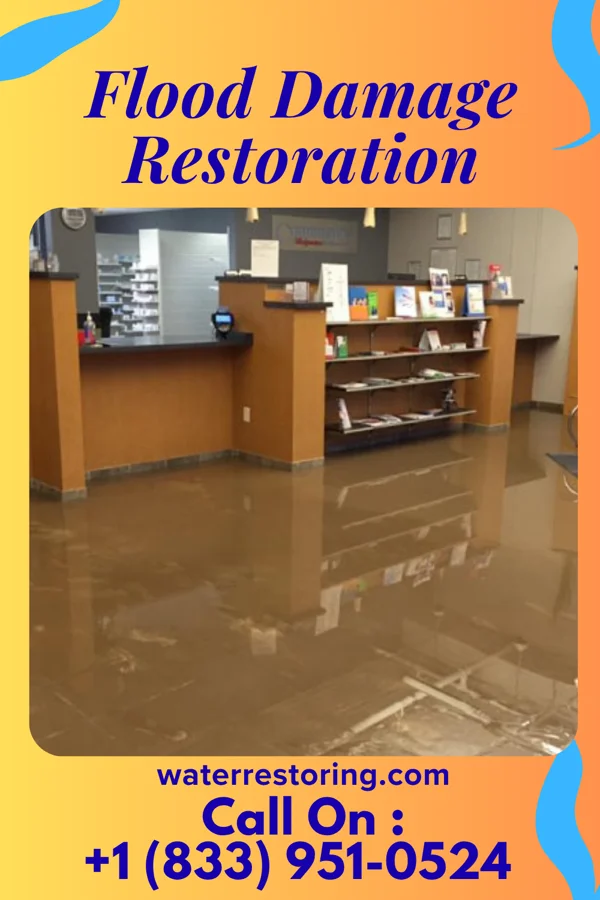Flood Damage Restoration in Newport, WA