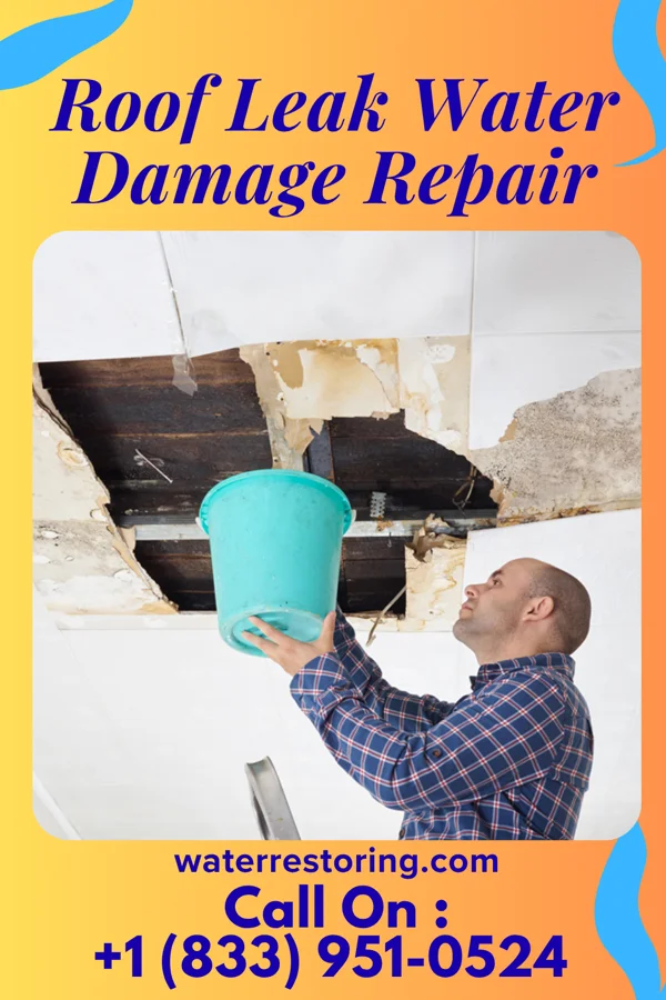 Roof Leak Water Damage Repair in Newport, WA
