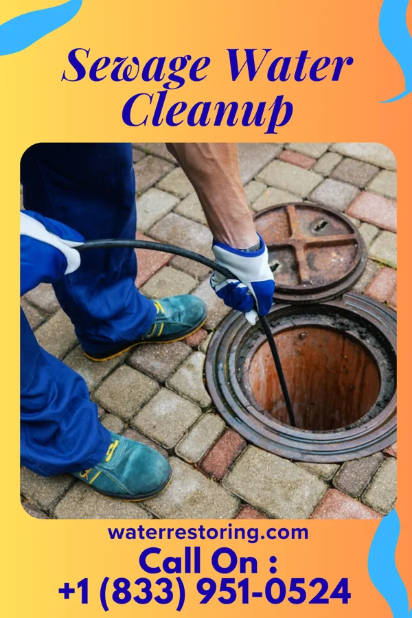 Sewage Water Cleanup in Newport, WA